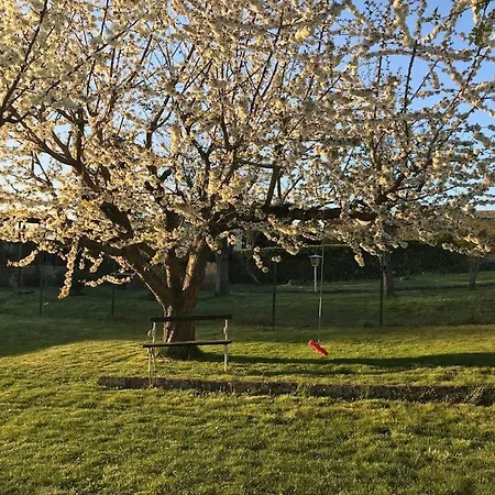 Frueh Am Furstenwerder