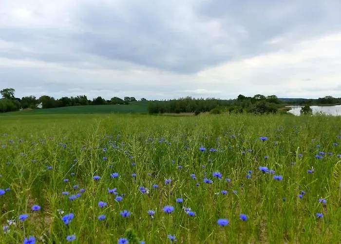 Frueh Am Vakantiehuis