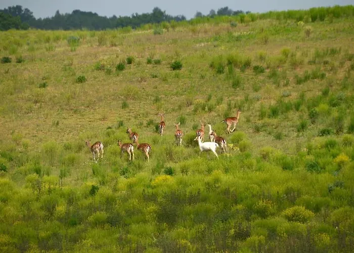 Vakantiehuis Frueh Am