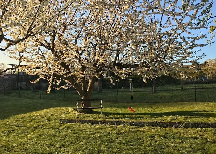 Frueh Am Furstenwerder